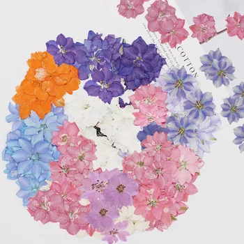 Feıyan Çiçek Kuru Çiçek Kabartma DIY Manuel Tutkal Bırakarak cep telefonu kılıfı Tırnak Sopa Yüz Makyaj Aromaterapi Mum