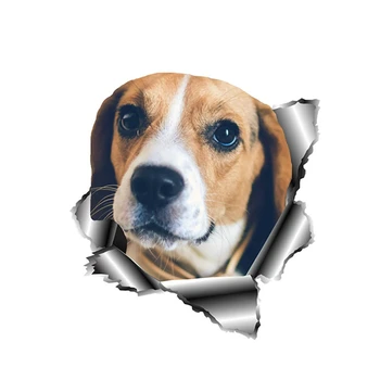 13cm * 12cm Beagle Yırtık Metal Pet Köpek Araba Sticker Kişiselleştirilmiş Çıkartması Dizüstü Motosiklet Oto Aksesuarları Dekorasyon PVC