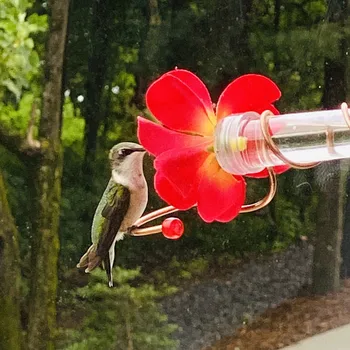 Kuş Besleme Çiçek Tasarım Hummingbird Kuş Besleyici Açık Kuş Su Besleyici Açık Havada Güverte Veranda Bahçe